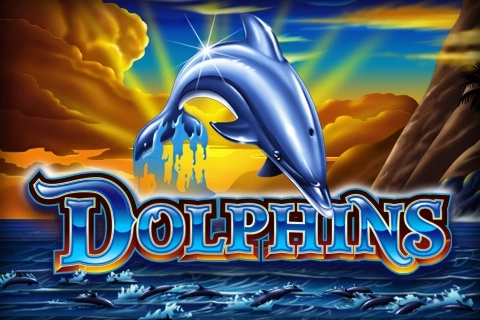 00863 dolphins