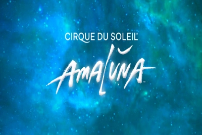 12832 cirque du soleil amaluna